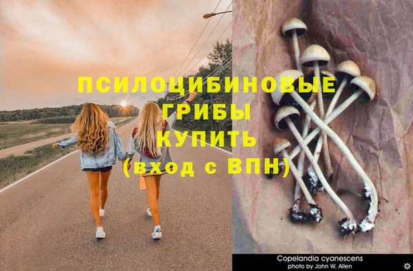 MDMA Надым