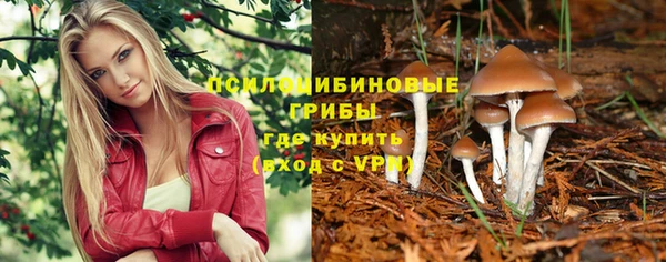 гидра Навашино