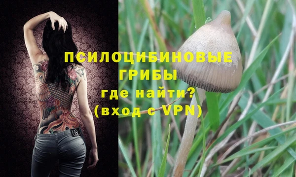 мдпв Михайловка