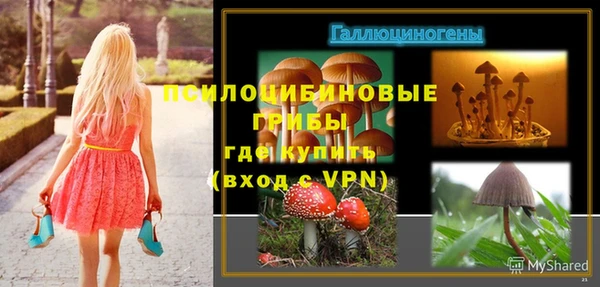 мдпв Михайловка